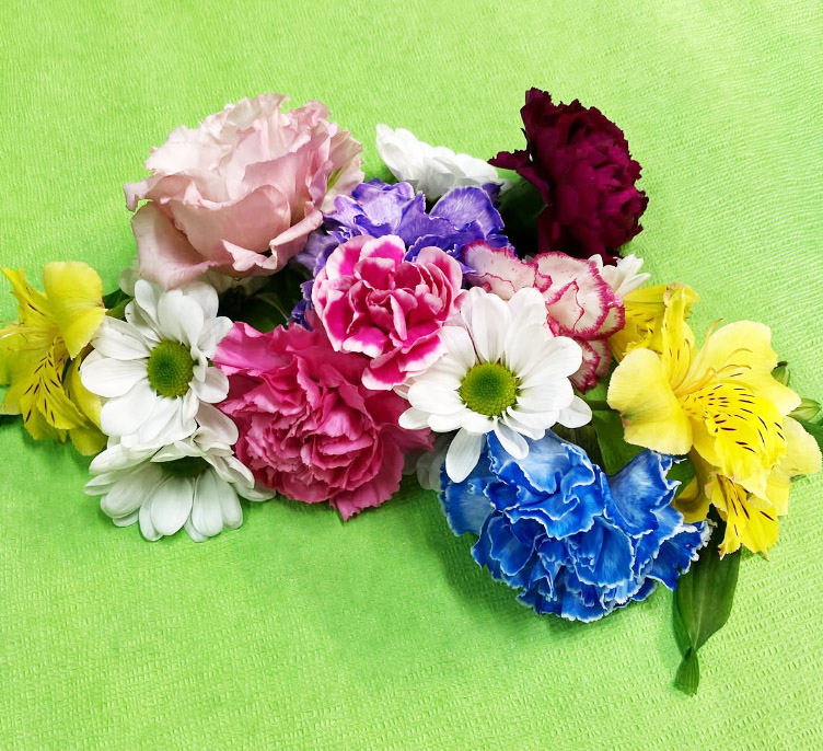 ペットの為のお花